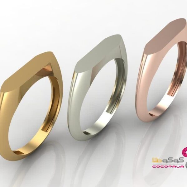 R1009 - صفحه اصلی
